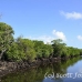 mangroves_channel_german_h_0076_yap0419.jpg